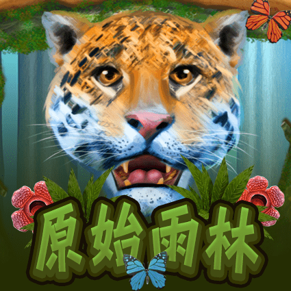 原始雨林