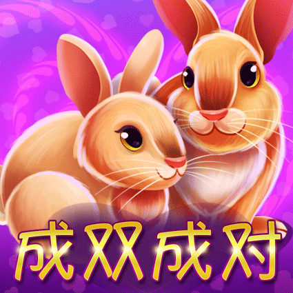 成双成对