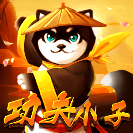 功夫小子