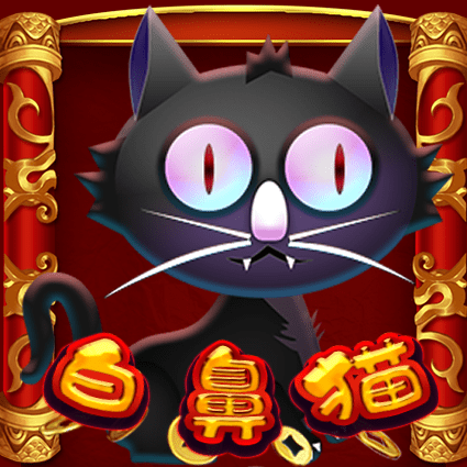 白鼻猫