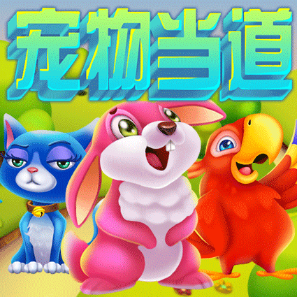 宠物当道