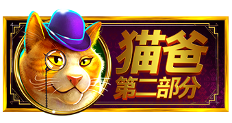 猫爸第二部分