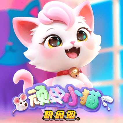 顽皮小猫 快闪购