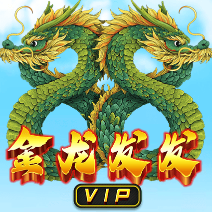 金龙发发 VIP