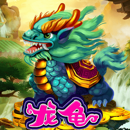 龙龟